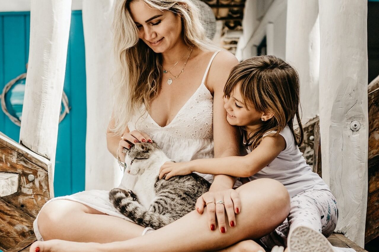 How Cats Can Help You Heal Emotionally And Physically