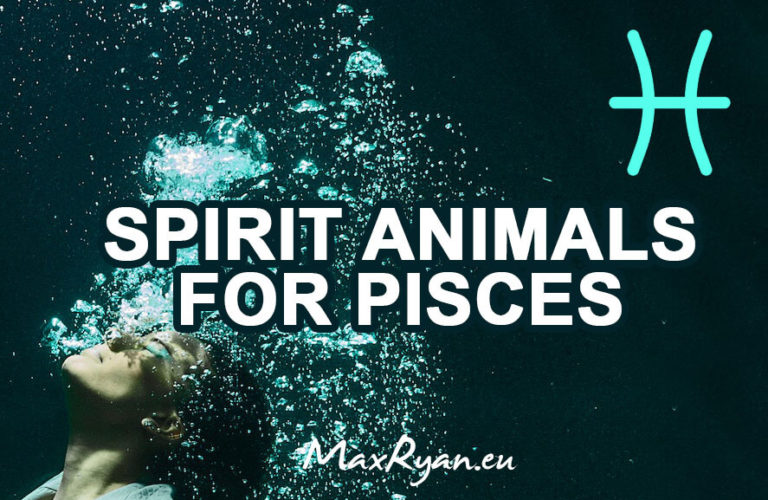 The 5 Spirit Animals For Pisces – Their Characteristics & Traits