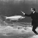 dream about fish attacking me